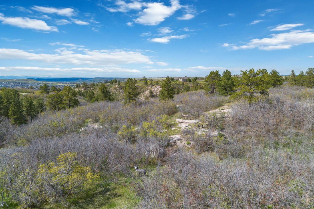 Rocky outcrops and brush along a ridgeline