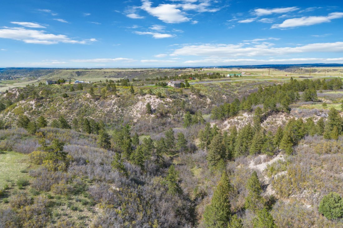 A patchwork of meadow and forest on the property