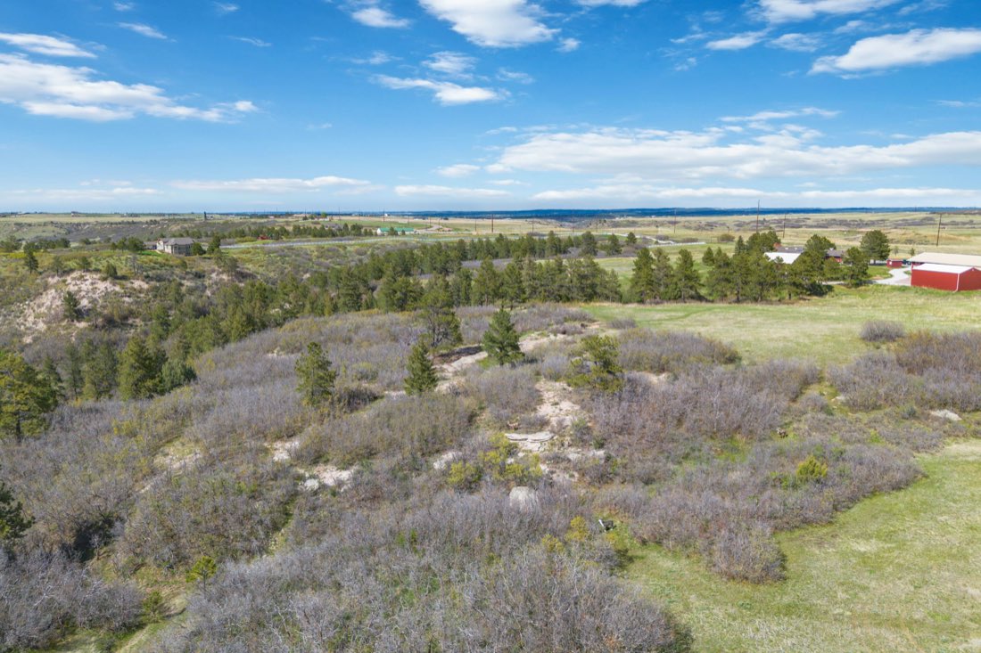 Rolling high-country meadows and timber