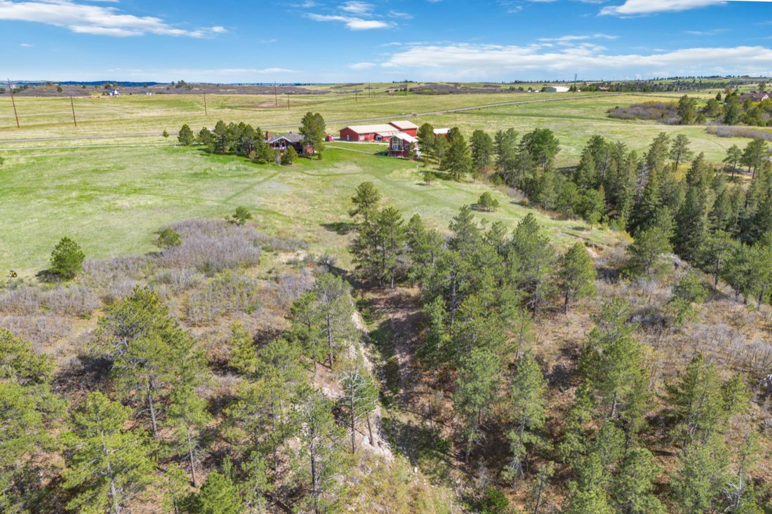Pines and clearings across the ranch