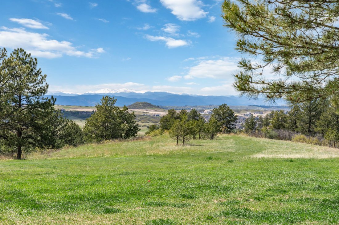 A meadow shooting lane looking out to the mountains