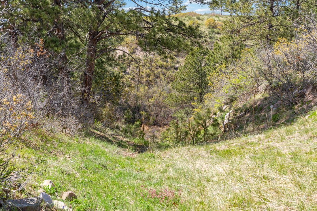 A wooded draw with a target down the slope