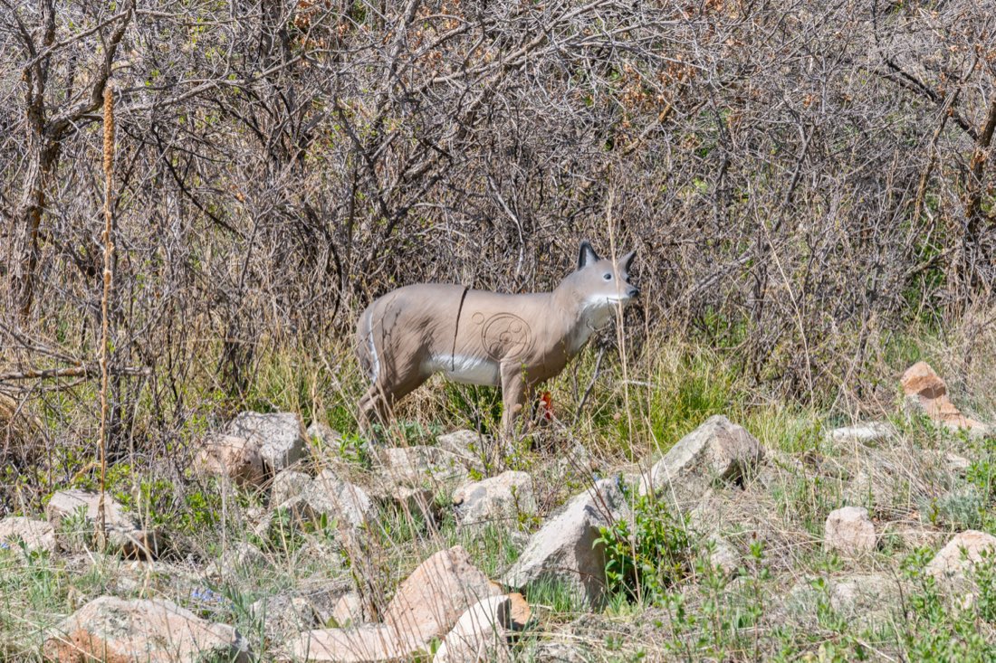 A 3D target blending into the tree line